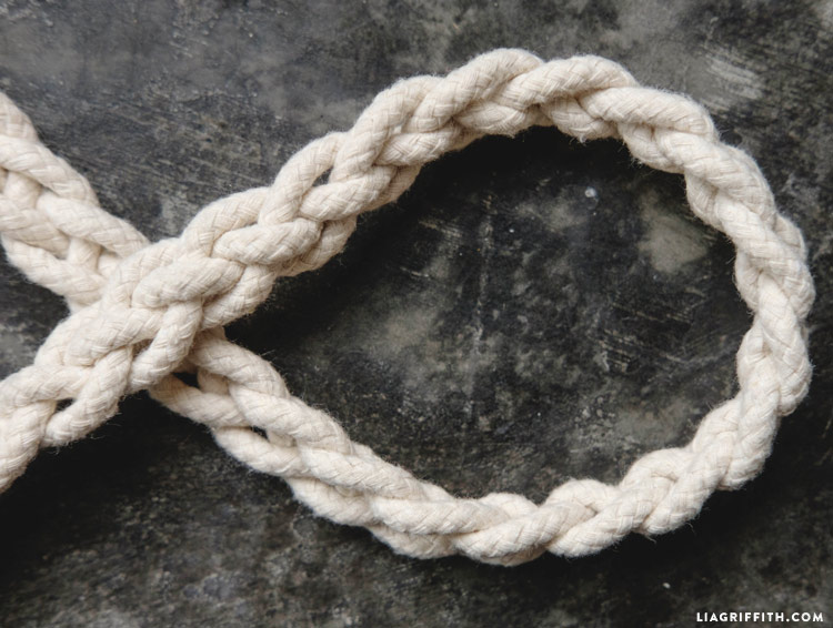 braided dog leash diy