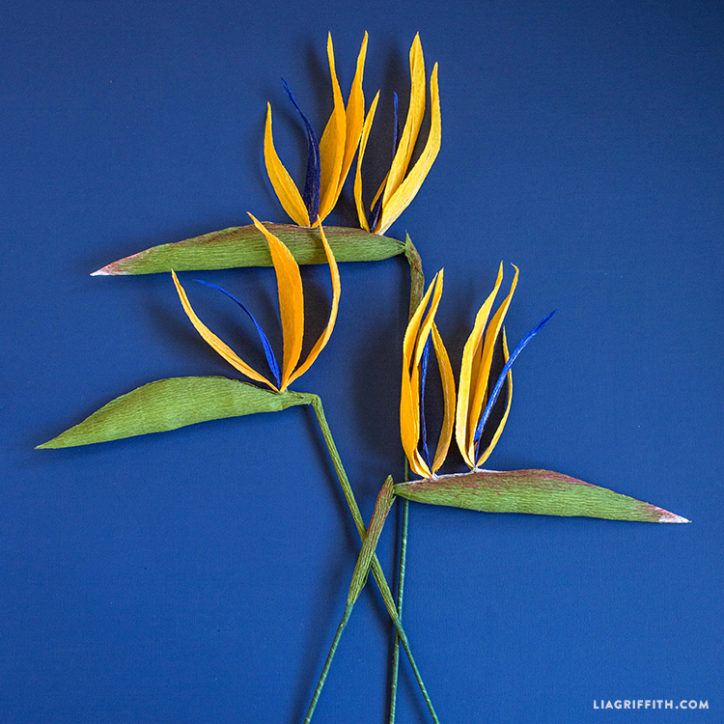 Crepe Paper Bird of Paradise Lia Griffith