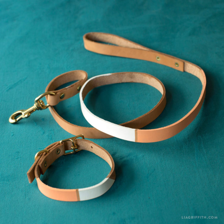 Create Your Own Leather Dog Collar & Leash Lia Griffith