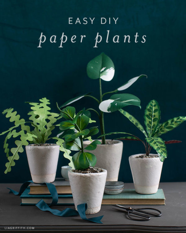 Lia Griffith Easy DIY Paper Plants