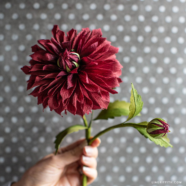 Lia Griffith October 2019 Member Make Crepe Paper Rip City Dahlias