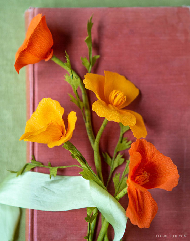 Video Tutorial Crepe Paper California Poppies Lia Griffith