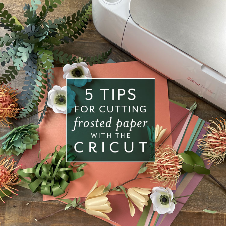 Lia Griffith Cutting Frosted Paper With a Cricut