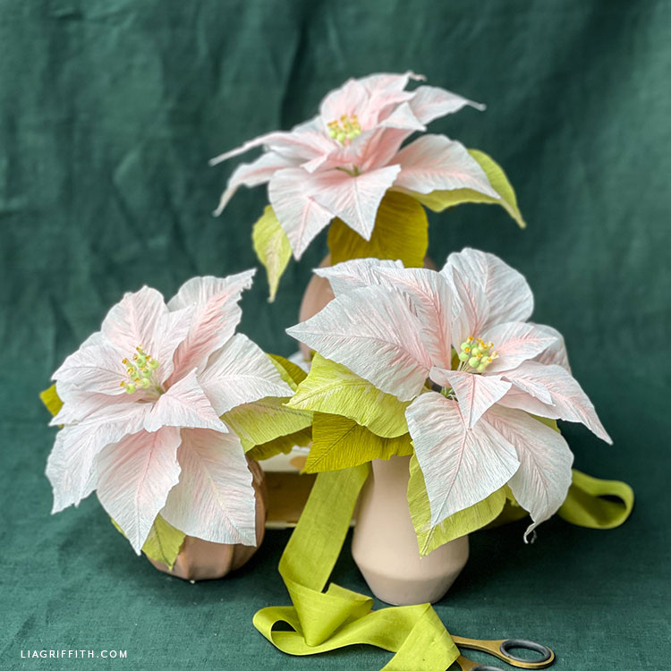 Watercolor Crepe Paper Poinsettias Template & Tutorial Lia Griffith