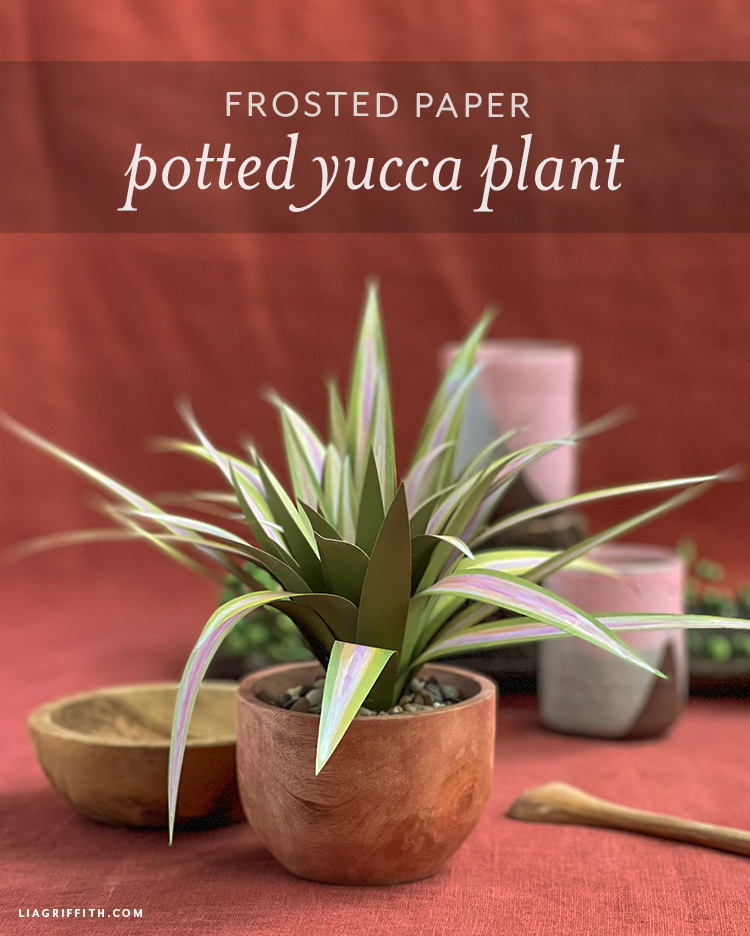 Lia Griffith Frosted Paper Yucca Plant