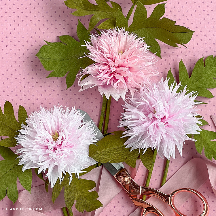 Crepe Paper Pom Pom Poppies Template & Tutorial Lia Griffith