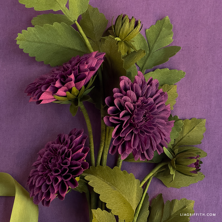 Burgundy Crepe Paper Dahlia Template & Tutorial Lia Griffith