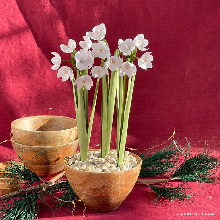 Frosted Paper Potted Paperwhites Template & Tutorial Lia Griffith