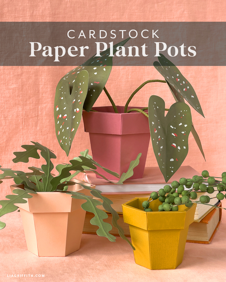 Lia Griffith Paper Plant Pots