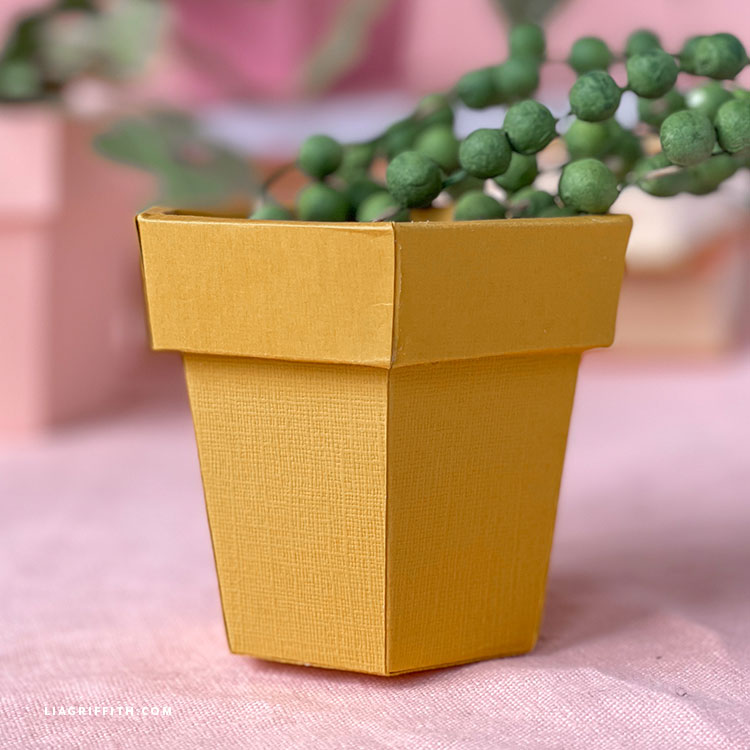 Lia Griffith Paper Plant Pots
