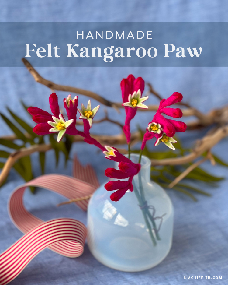 Lia Griffith Felt Kangaroo Paw Flower