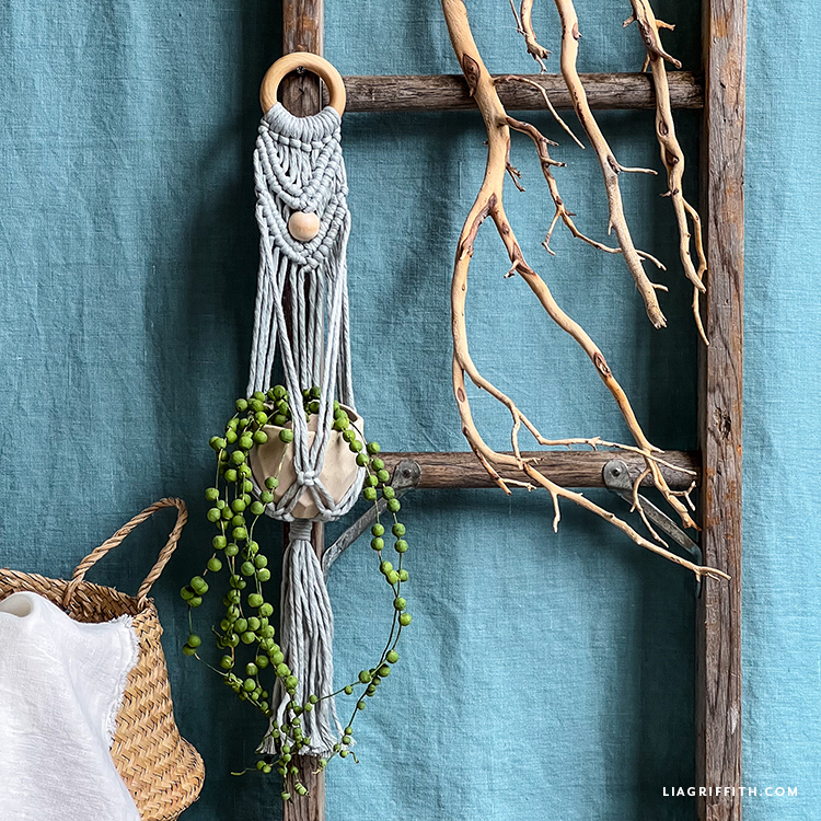 Lia Griffith | Macrame Wall Plant Hanger Lia Griffith | Macrame Wall Plant Hanger